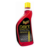 Paint Protect - Protector de Pintura